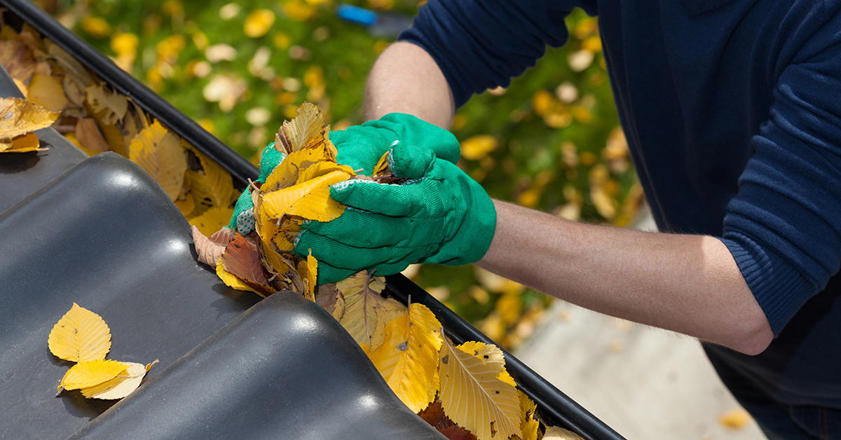 Roof Care