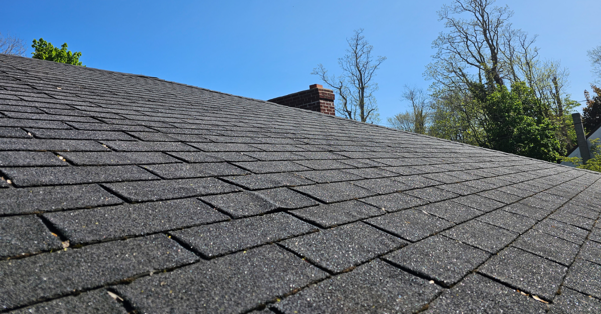 Asphalt Shingles