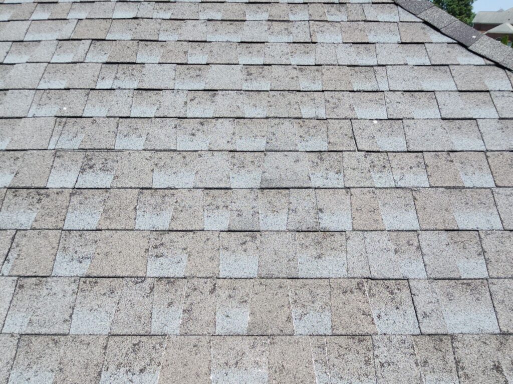 hail and wind roof damage High Point NC