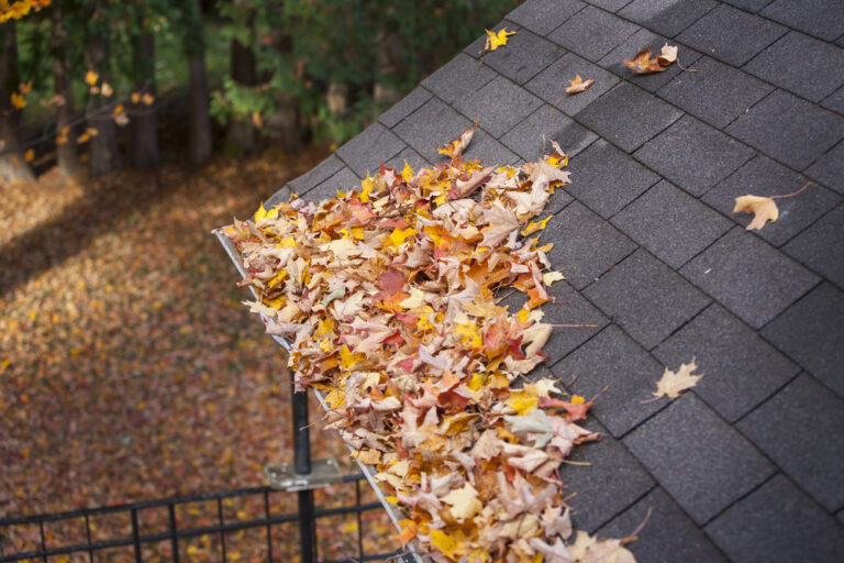 fall roof maintenance checklist