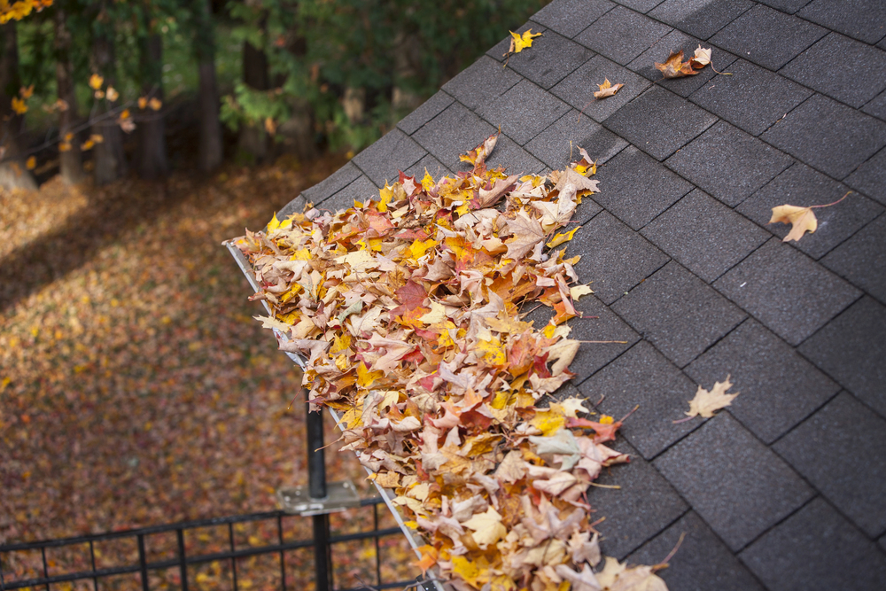 fall roof maintenance checklist