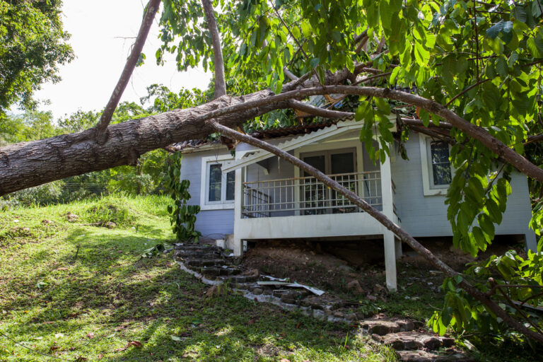storm damage roof insurance claim