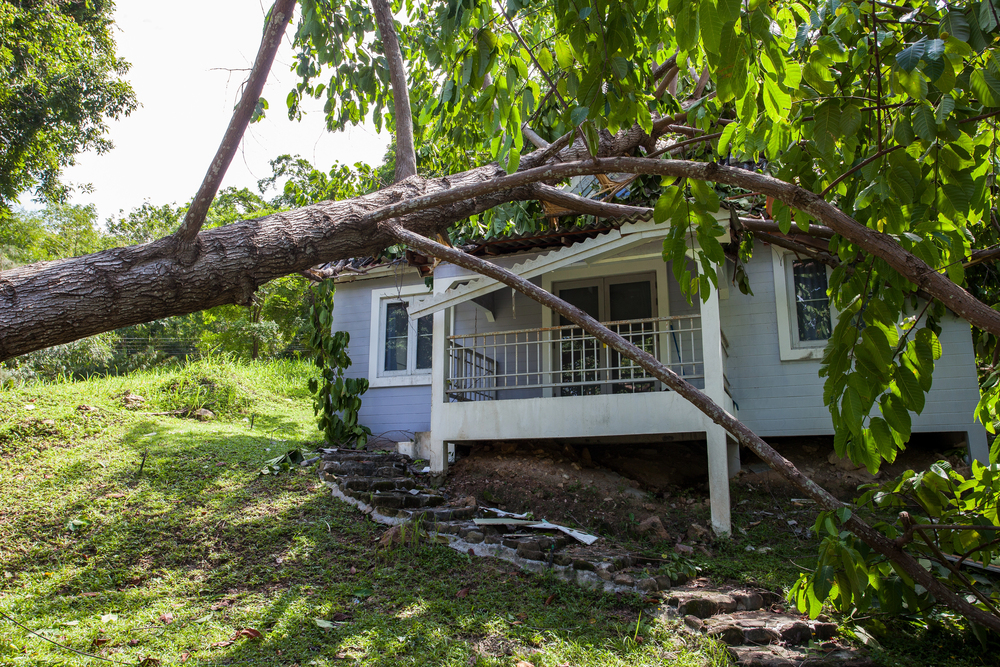 storm damage roof insurance claim