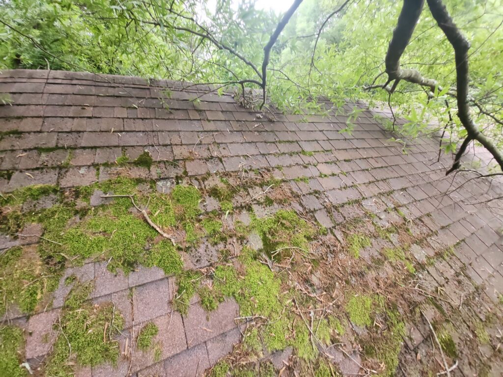 storm damage roof repair Winston-Salem